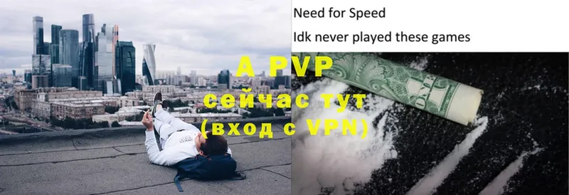 купить  сайты  Рассказово  A-PVP СК КРИС 